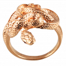 Lady's ring