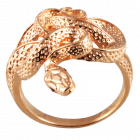 Lady's ring