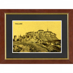 Main view of the Old Town 1865